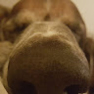 Meet your Posher, Kristina